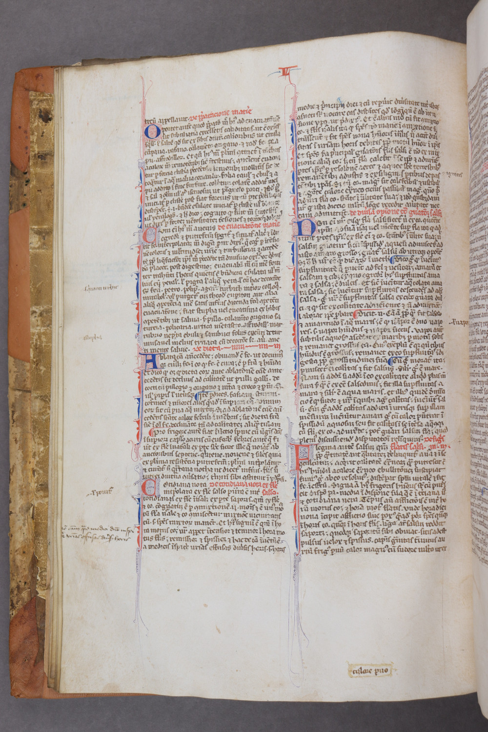 Folio 15 verso